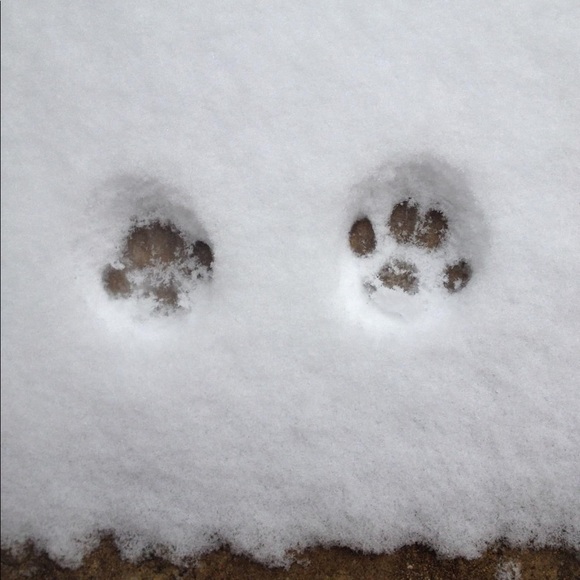 All sales go to my babyโs medical funds! New pics! - Picture 3 of 8